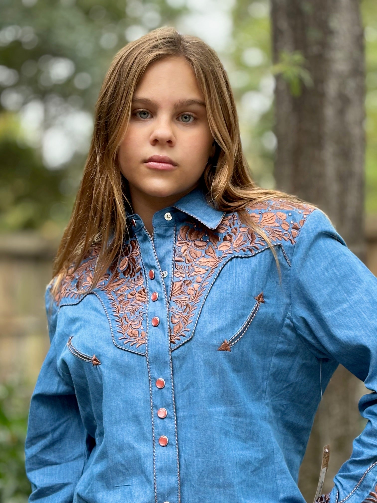 Scully Embroidered Rhinestone Western Shirt - Blue
