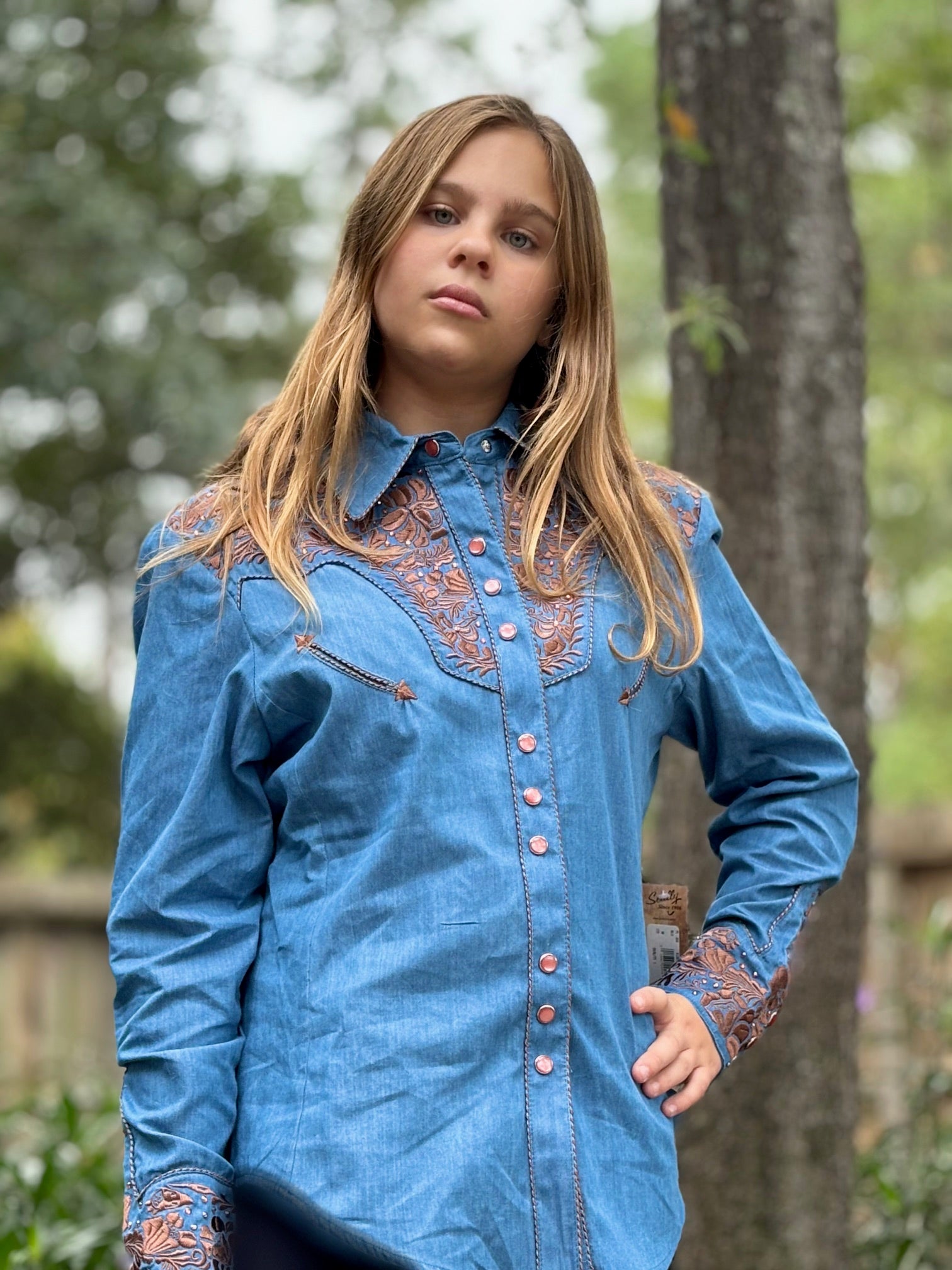 Scully Embroidered Rhinestone Western Shirt - Blue