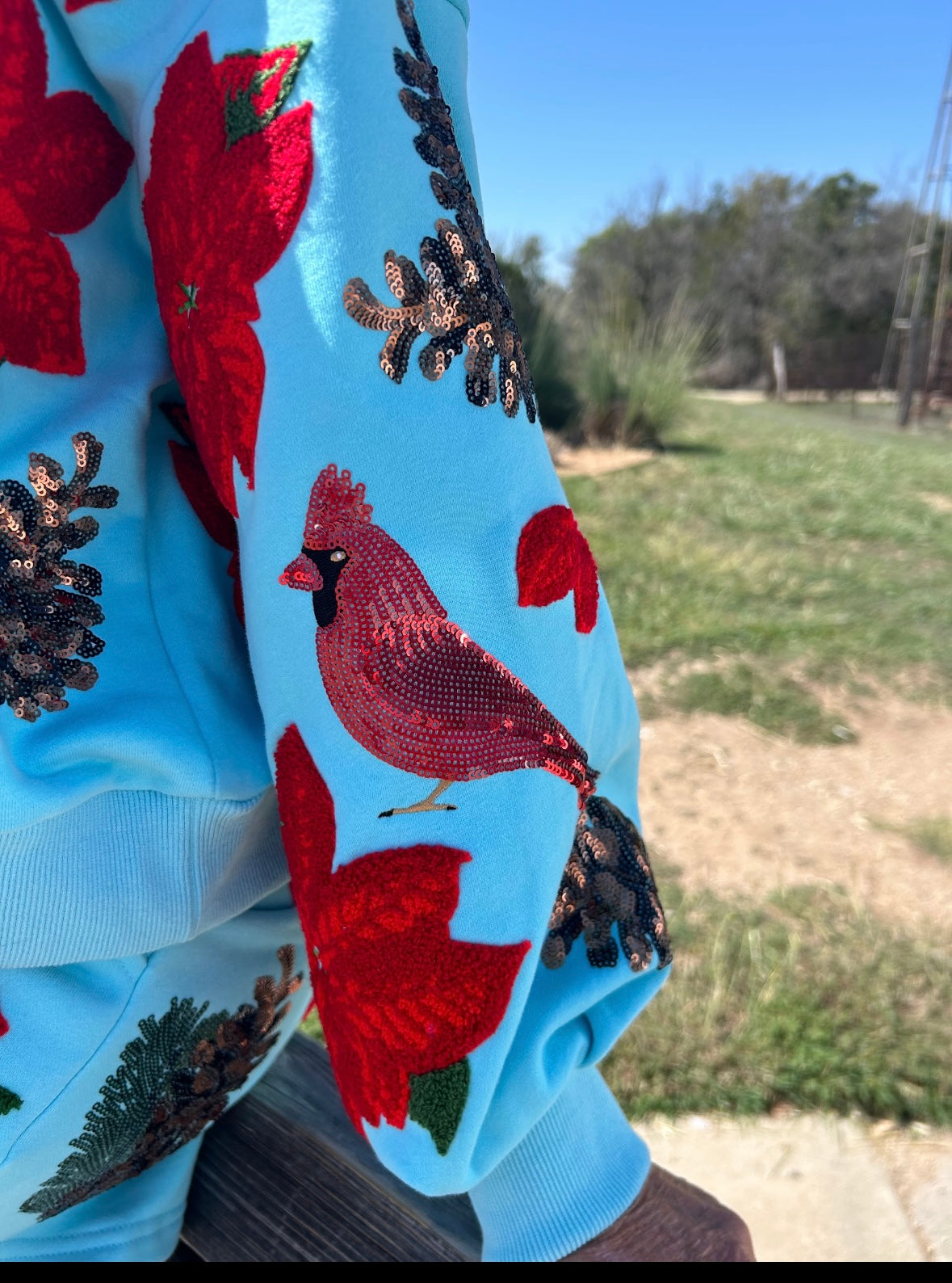 Queen of Sparkles Aqua Poinsettia, Cardinal & Pine Cone Henley Shorts