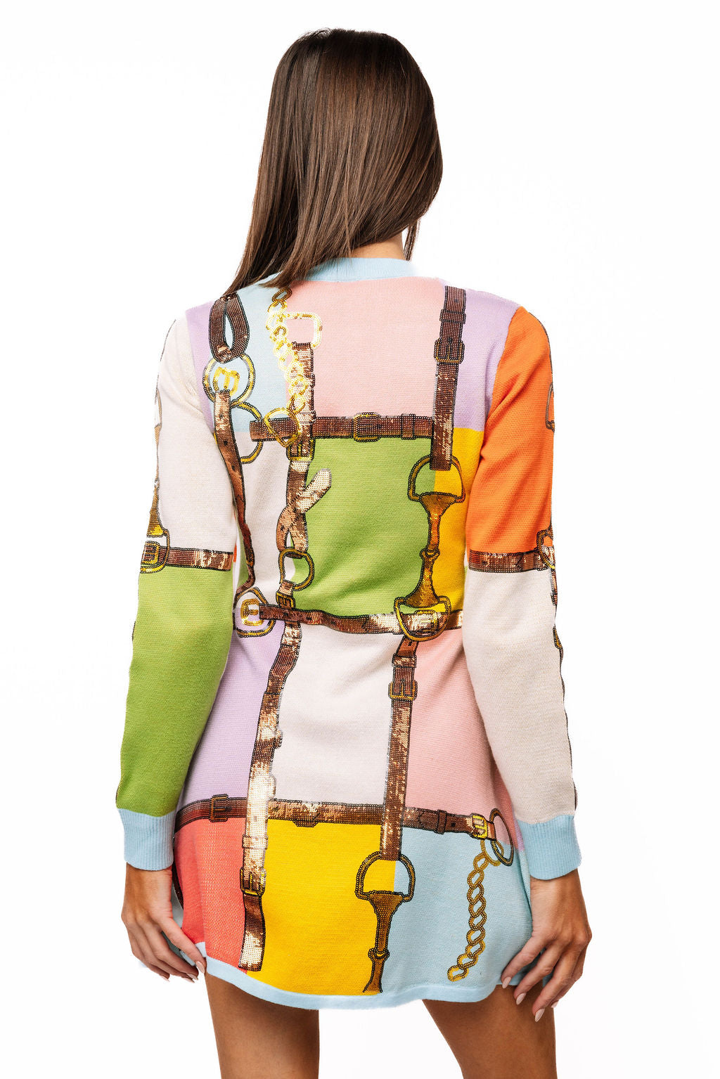 Back view of a model wearing the Queen of Sparkles pastel colorblock horse-bit long-sleeve mini dress.