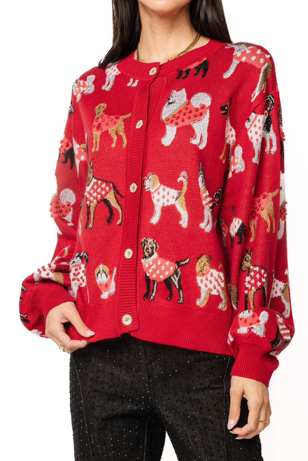 Queen of Sparkles Red Dog in Polka Dot Sweater