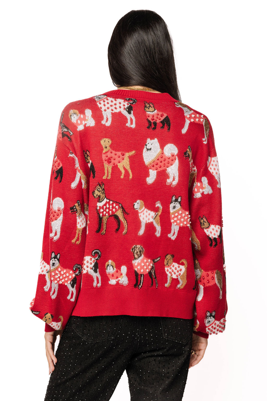 Queen of Sparkles Red Dog in Polka Dot Sweater